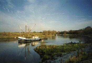 Aalschocker auf der Weser